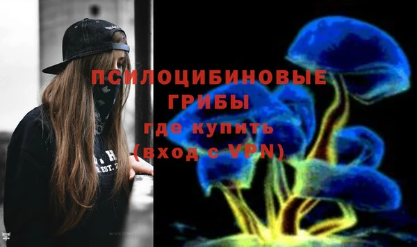 дмт Покачи