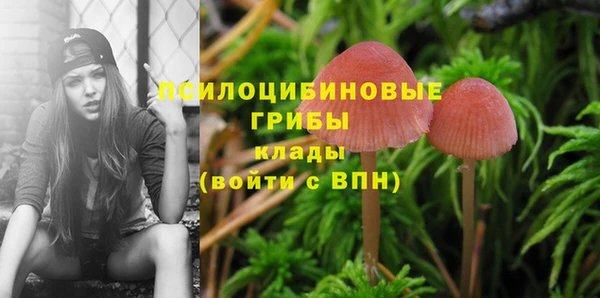 альфа пвп Покров